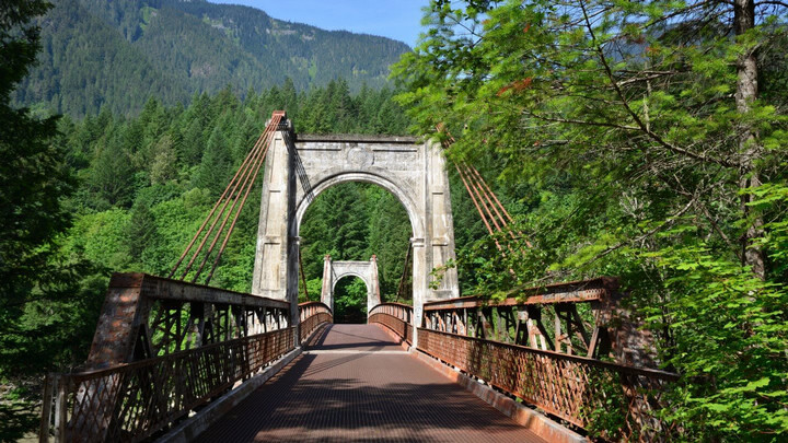 Looking across a bridge to forest on the other side