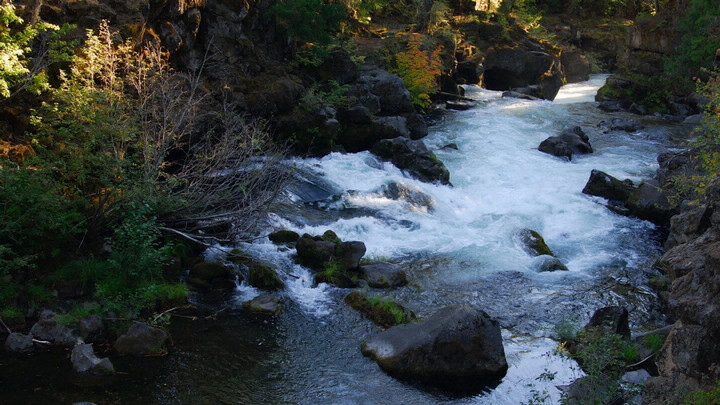 A river with white water flowing through woodland.