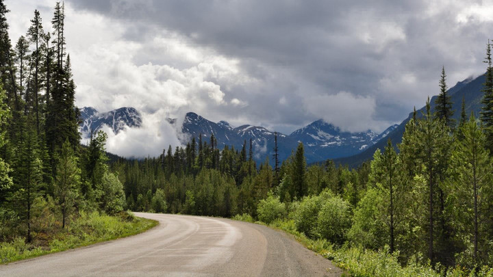 A road winding through forest with mountains in the background
