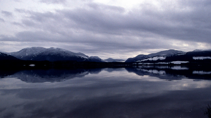 A picture of Cowichan Lake in the winter, cool and grey, with a snowy treeline and hills in the background